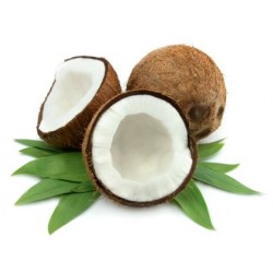 Coconut